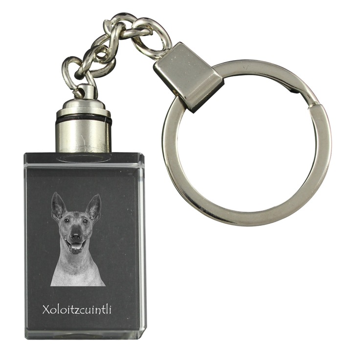 Kristályos kulcstartók, Art-Dog, kutyás kulcstartó, világító, 20x30x15mm