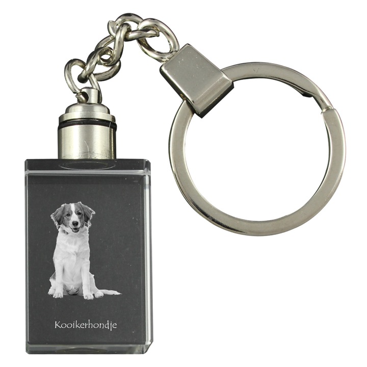 Brelocuri din cristal cu imaginea cainelui Kooikerhondje, breloc iluminat, set cadou, 20x30x15mm