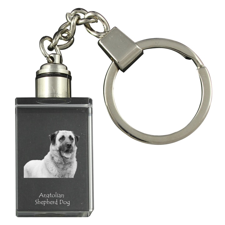 Kulcstartó, Art-Dog, anatóliai kutya képpel, kristály, 20x30x15mm, világító