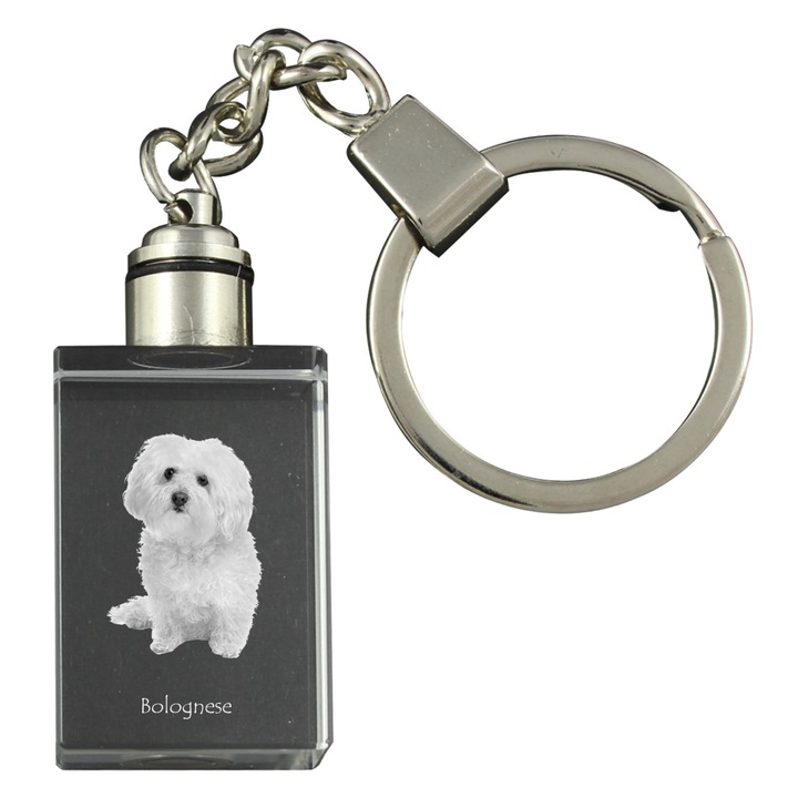 Kristály kulcstartó, Art-Dog, világító, kutyafajta modell