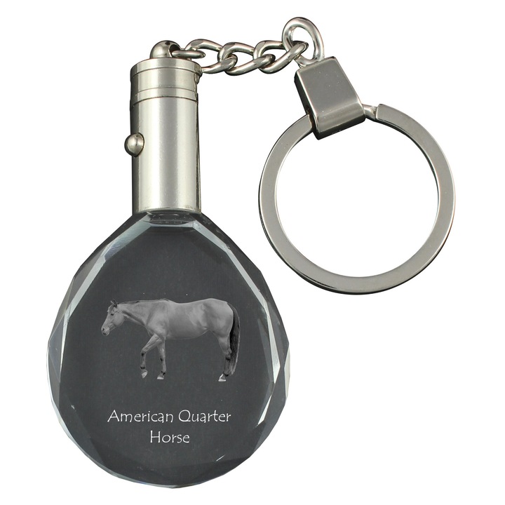 Kristályos kulcstartó, Art-Dog, világítással, fényképes készlet, 40x35x10mm