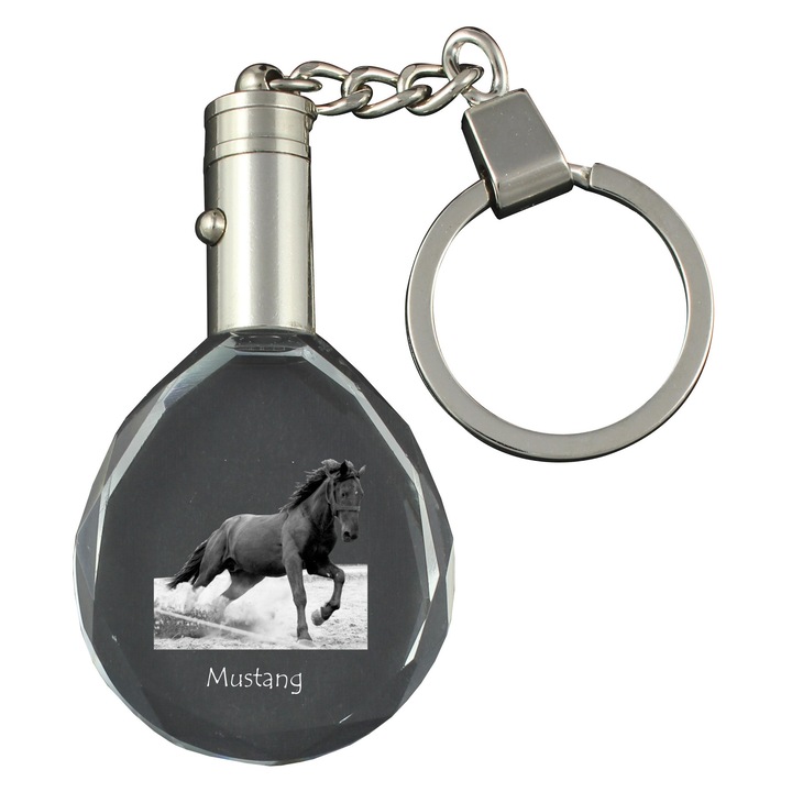 Breloc cu cristale, Art-Dog, cu iluminare, set cu imagine personalizata, 40x35x10mm