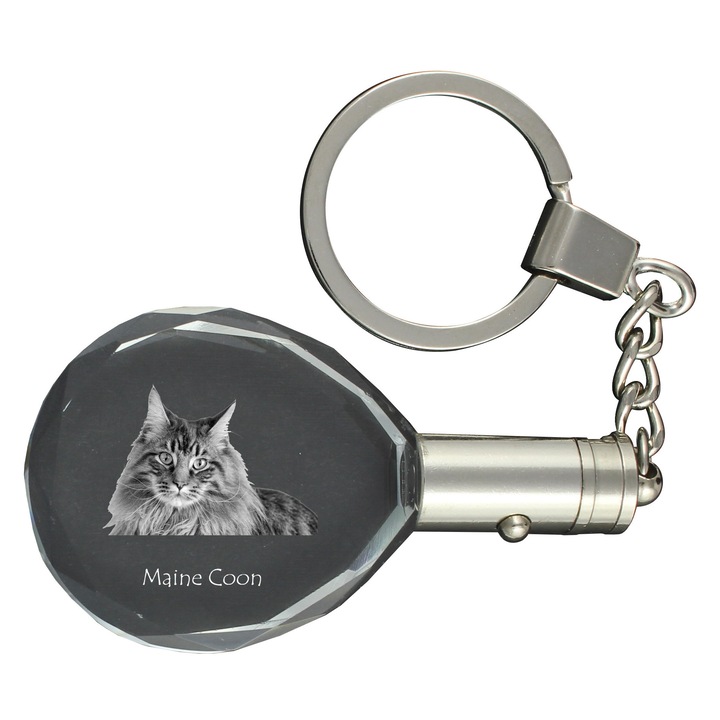 Breloc cu cristale, Art-Dog, Maine Coon, personalizabil, iluminat, 40x35x10mm, set cadou