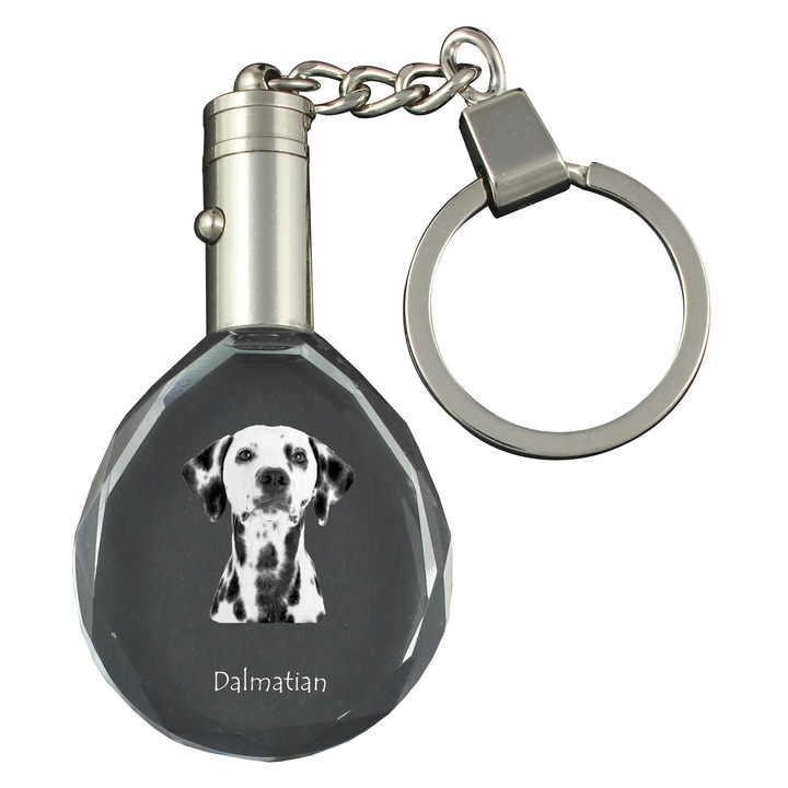 Kristály kulcstartó, Art-Dog, világító, kutyafotó