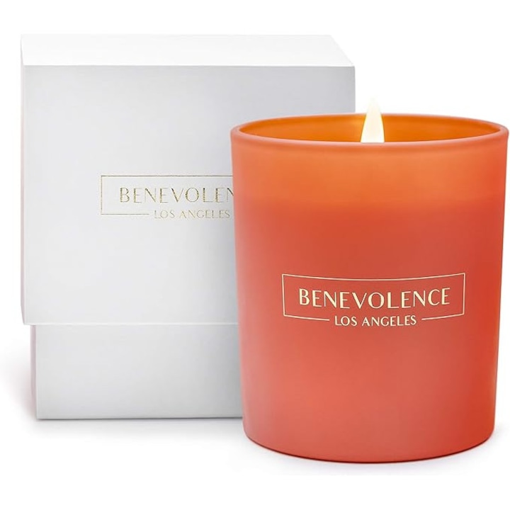 Lumanare premium din soia, Benevolence LA, aroma Tudor Rose & Amber, recipient roz, ardere 45h