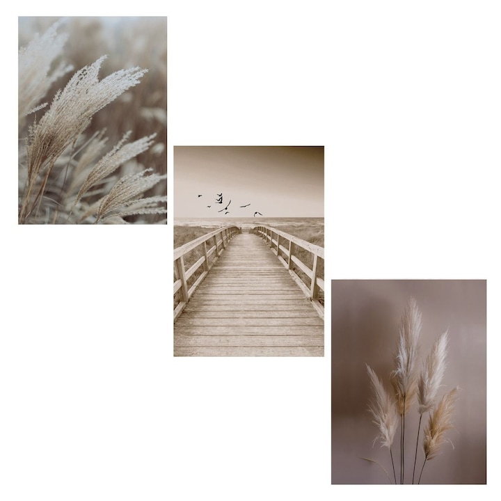 Комплект Декоративни Постери Природа Плакати за Стена 3 Бр. 30x42см Модел Пейзажи с Трева Дървен Мост Пампас Без Рамка