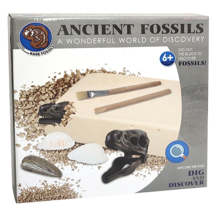 Set de arheolog - Fosile