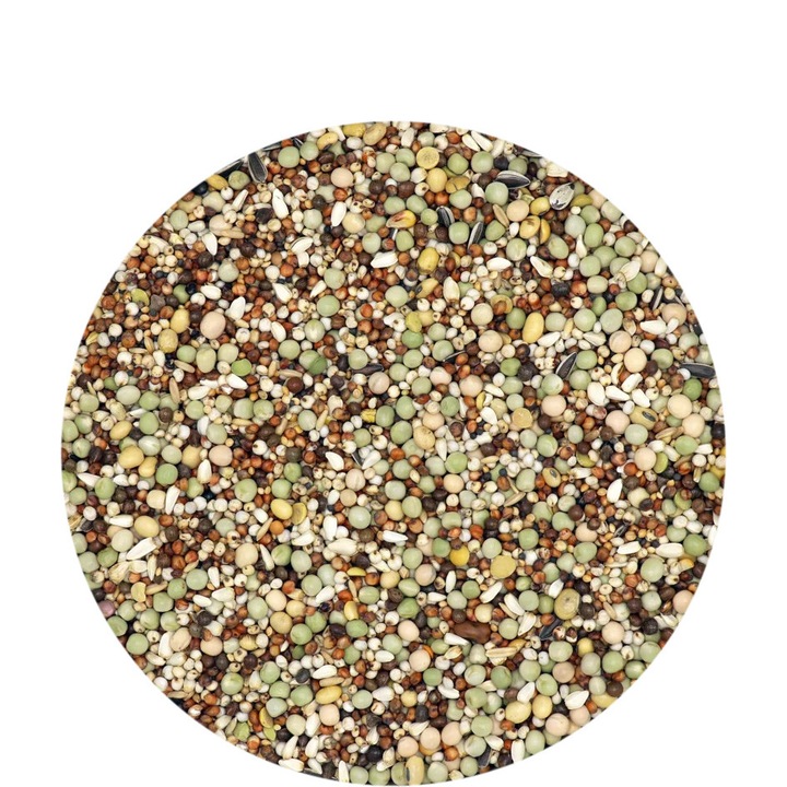 Show Standard Mix, Hrana pentru porumbei 20kg