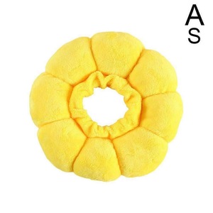 Accesorii animale
