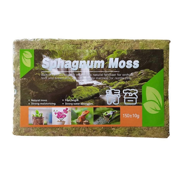 Muschi comprimat pentru plante in ghiveci, 21x12.5cm, culoare naturala