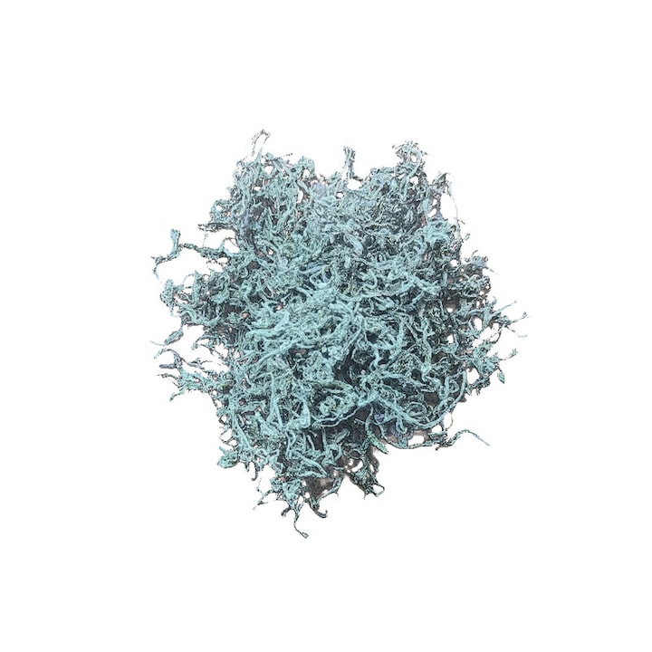 Ceai Verde Decofeinizat Ceai Din Frunze Pure Ceai Chinezesc Ceai Neindulcit Din Frunze Pure Frunze de Ceai Vrac Cadouri Pentru Bautorii de Ceai Cadouri Pentru Iubitorii de Ceai