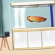 Pompa de oxigen portabila, Rqiurpn, USB, 90 cm furtunuri aer, set complet cu piatra de aer si tub de oxigen, pescuit in aer liber, pentru acvariu, intreruperi current si urgenta, design portabil, Negru