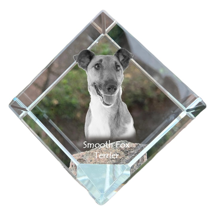 Cubica din cristal, Art-Dog, personalizabila, 8x8x8cm, transparenta