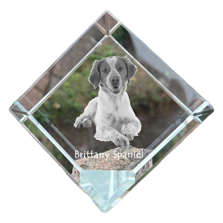 Cub din cristal cu imagine personalizata, Art-Dog, 8x8x8cm, pentru birou