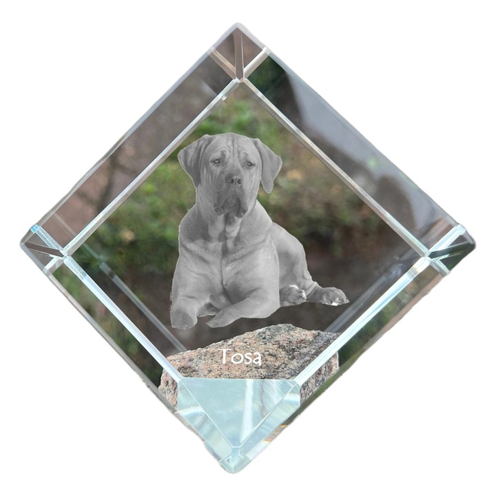 Kostka din cristal cu imagine personalizata, Art-Dog, 8x8x8cm, pentru birou, cadou pentru iubitorii de animale