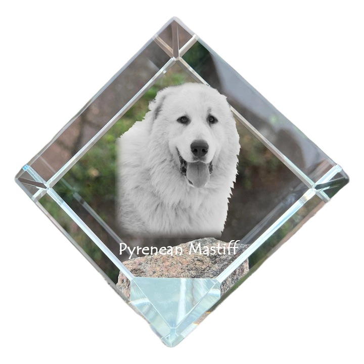 Cubica din cristal, Art-Dog, personalizabila, 8x8x8cm, pentru birou