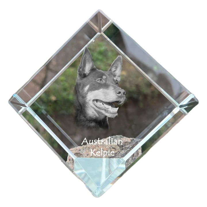 Cubica din cristal, Art-Dog, personalizabila, 8x8x8cm, multicolor