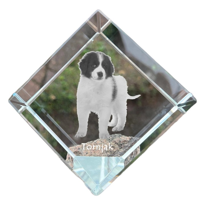 Cubica din cristal, Art-Dog, personalizabila, 8x8x8cm, pentru birou