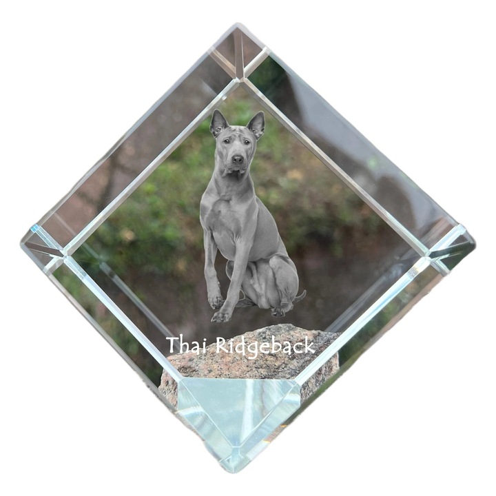 Cub din cristal, Art-Dog, personalizabil, 8x8x8cm, pentru birou