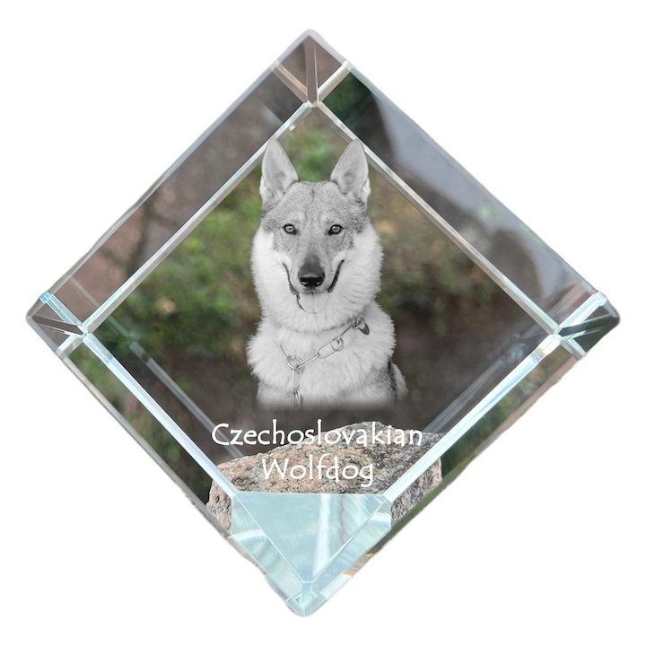 Cub din cristal cu fotografie personalizata, Art-Dog, 8x8x8cm, elegant