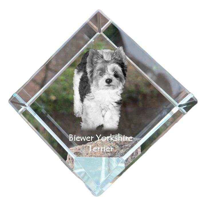 Cub din cristal, Art-Dog, personalizabil, 8x8x8cm, pentru birou