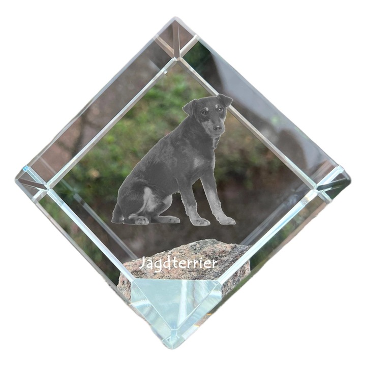 Kostka din cristal cu imagine personalizata, Art-Dog, 8x8x8cm, pentru birou, cadou pentru iubitorii de animale