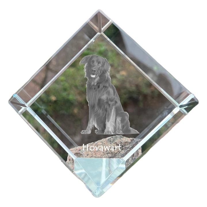 Cubica din cristal, Art-Dog, personalizabila, 8x8x8cm, pentru birou