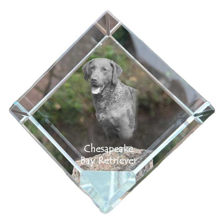 Cubica din cristal, Art-Dog, personalizabila, 8x8x8cm, pentru birou