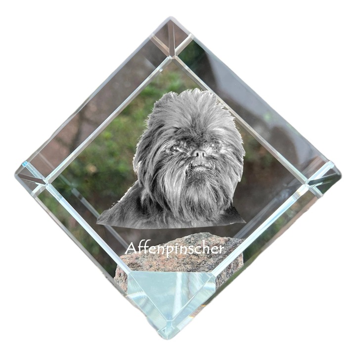 Cub din cristal cu imagine personalizata, Art-Dog, 8x8x8cm, pentru birou