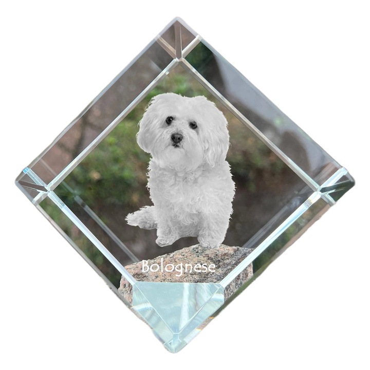 Cubica din cristal cu fotografie personalizata, Art-Dog, 8x8x8cm, ideala pentru birou, cadou pentru iubitorii de animale