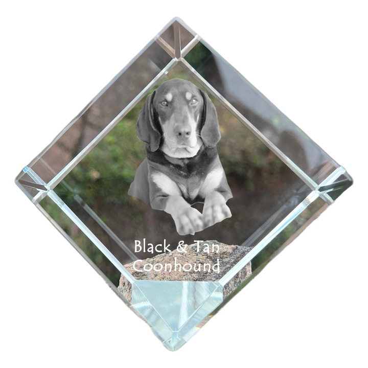 Kristály kocka személyre szabott képpel, Art-Dog, 8x8x8cm, átlátszó