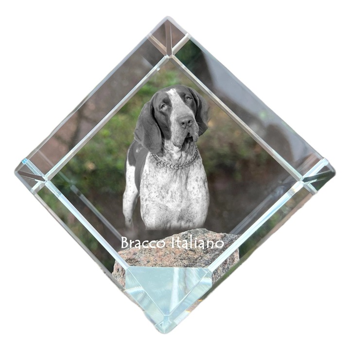 Kristály kocka, Art-Dog, személyre szabható, 8x8x8cm, állatgravírozással