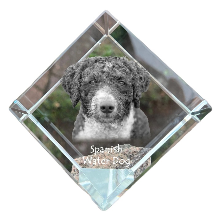Cubica din cristal, Art-Dog, personalizabila, 8x8x8cm, pentru birou