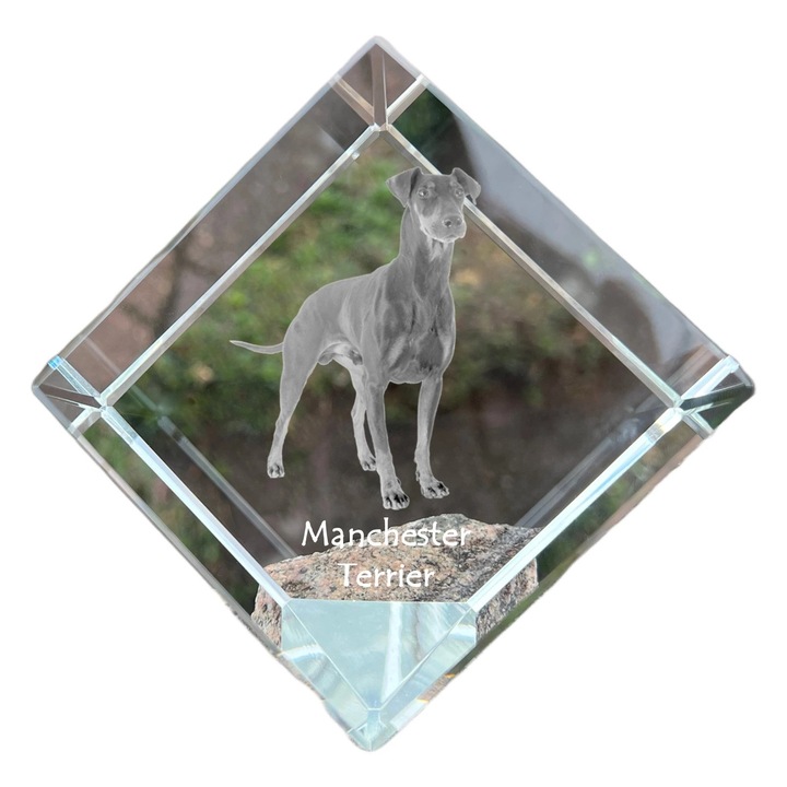 Cub din cristal, Art-Dog, personalizabil, 8x8x8cm, cu gravura de animal