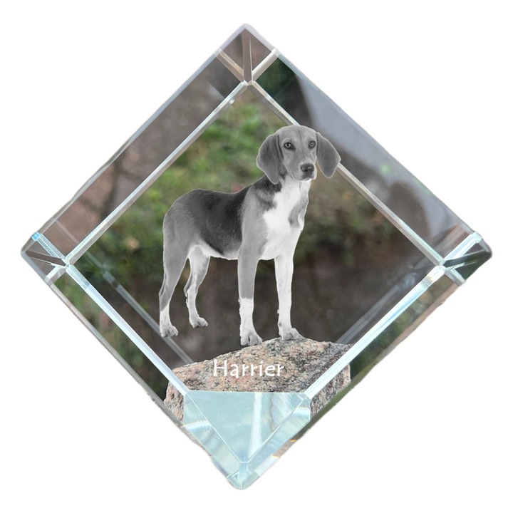 Cubica din cristal cu fotografie personalizata, Art-Dog, 8x8x8cm, ideala pentru birou, cadou pentru iubitorii de animale