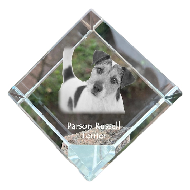 Cub din cristal, Art-Dog, personalizabil, 8x8x8cm, pentru birou