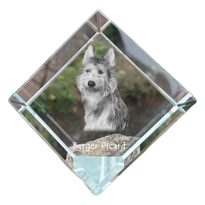Cub din cristal, Art-Dog, personalizabil, 8x8x8cm, cu gravura de animal