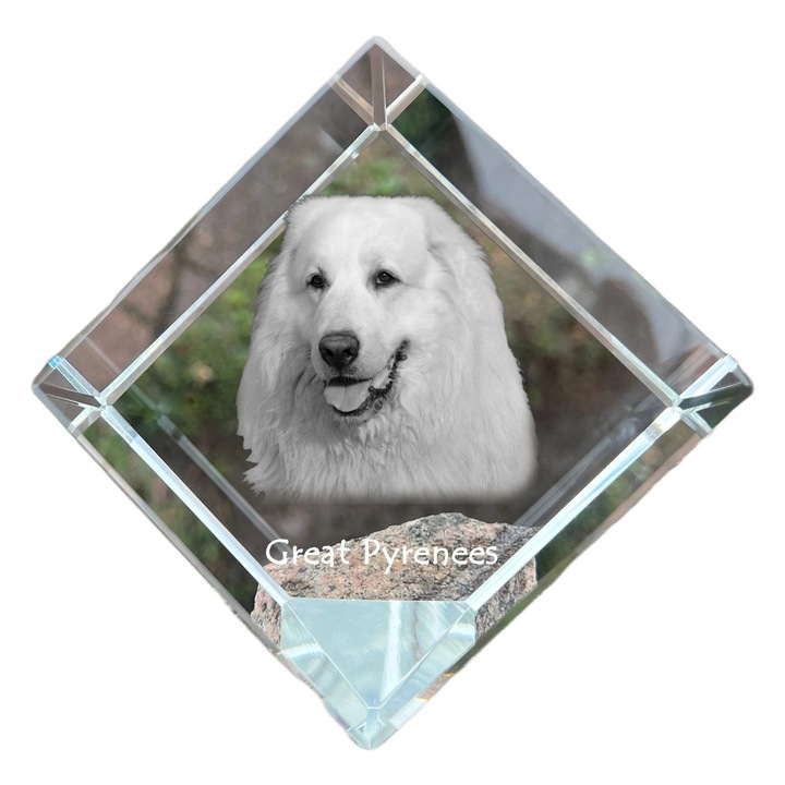 Cubica din cristal Art-Dog, personalizabila, 8x8x8cm, cu gravura animal, ideala pentru birou, set cadou