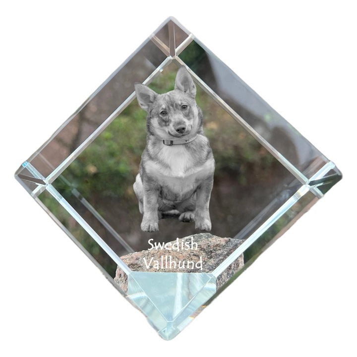 Kostka din cristal cu imagine personalizata, Art-Dog, 8x8x8cm, pentru birou, cadou elegant