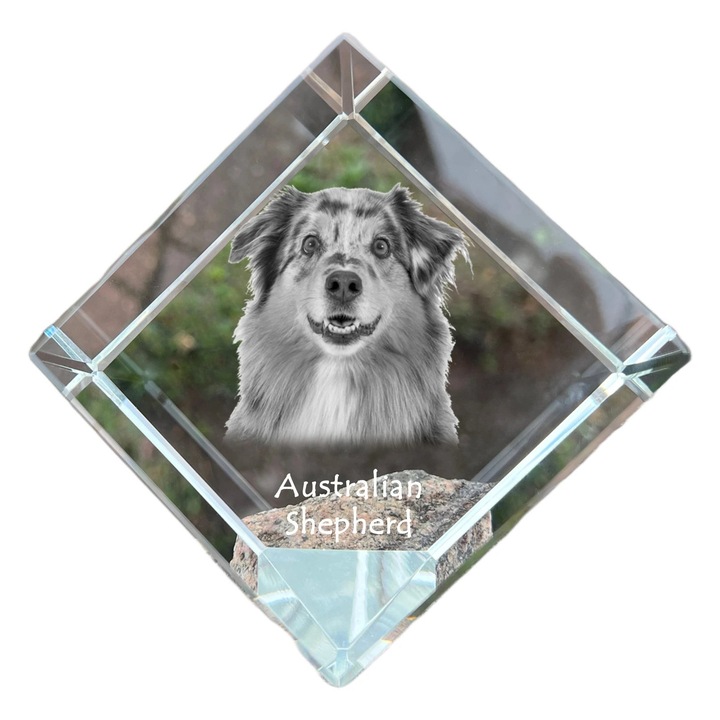 Cub din cristal, Art-Dog, personalizabil, 8x8x8cm, cu gravura de animal