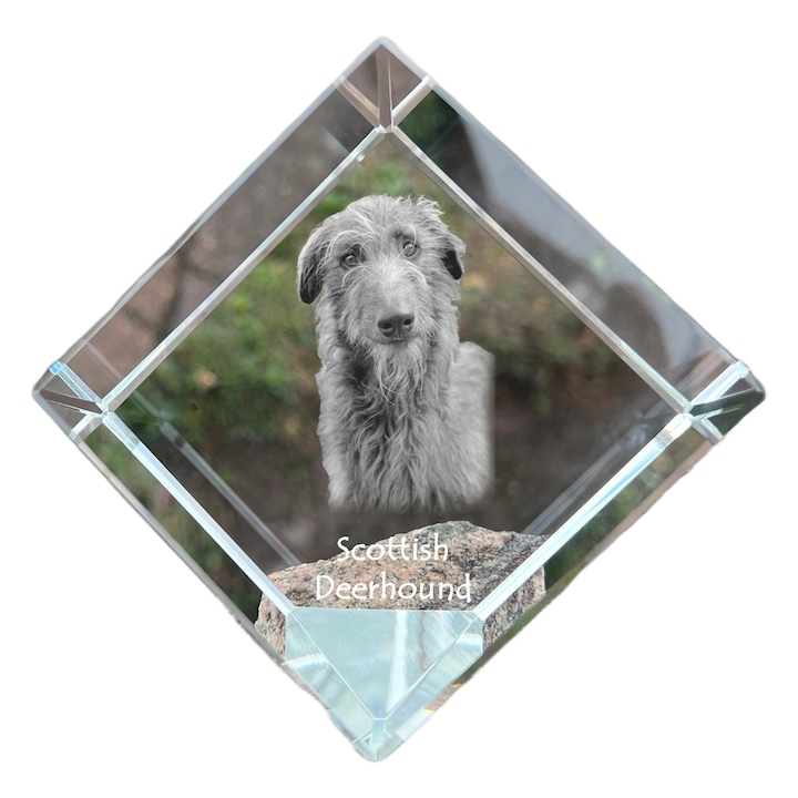 Cub din cristal Art-Dog, personalizabil, 8x8x8cm, cu gravura animal