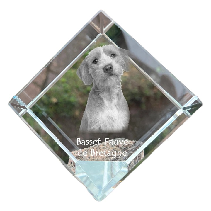 Cubica din cristal, Art-Dog, personalizabila, 8x8x8cm, cu gravura de animal