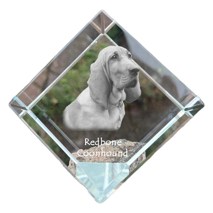 Cubica din cristal, Art-Dog, personalizabila, 8x8x8cm, pentru birou