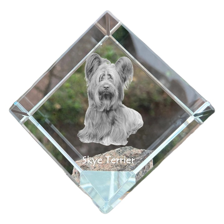Cubica din cristal, Art-Dog, personalizabila, 8x8x8cm, pentru birou