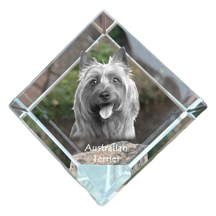 Cub din cristal, Art-Dog, personalizat cu imagine, 8x8x8cm, transparent