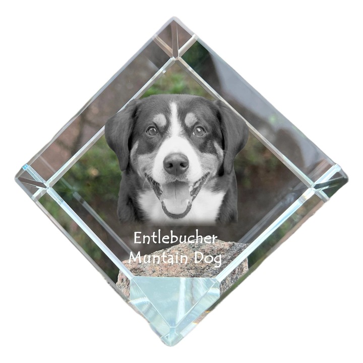 Cub din cristal, Art-Dog, personalizabil, 8x8x8cm, pentru birou