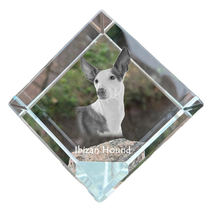 Kostka din cristal cu imagine personalizata, Art-Dog, 8x8x8cm, pentru birou, cadou elegant