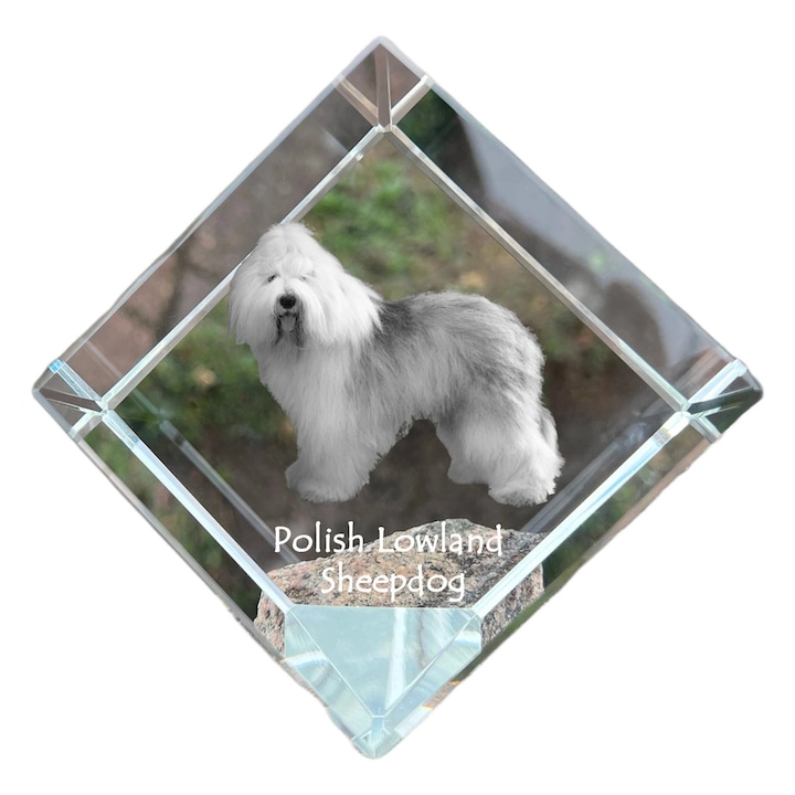 Cub din cristal cu fotografie personalizata, Art-Dog, 8x8x8cm, pentru birou, pentru iubitorii de animale