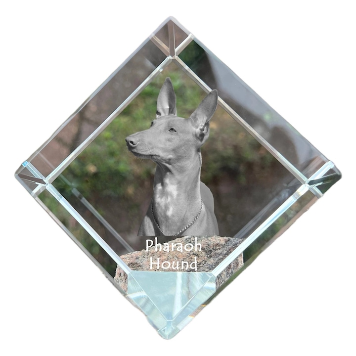 Cub din cristal, Art-Dog, personalizabil, 8x8x8cm, pentru birou