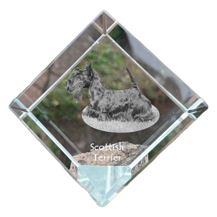 Kristály kocka, Art-Dog, személyre szabható, 8x8x8cm, állatgravírozással
